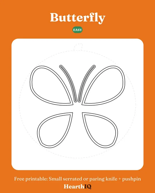 Butterfly stencil preview
